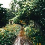 How to Build a Rain Garden in an Alabama Yard