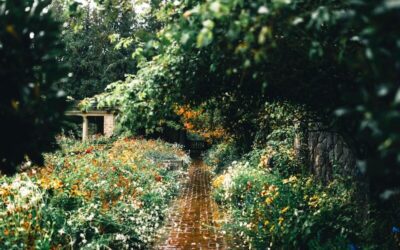 How to Build a Rain Garden in an Alabama Yard