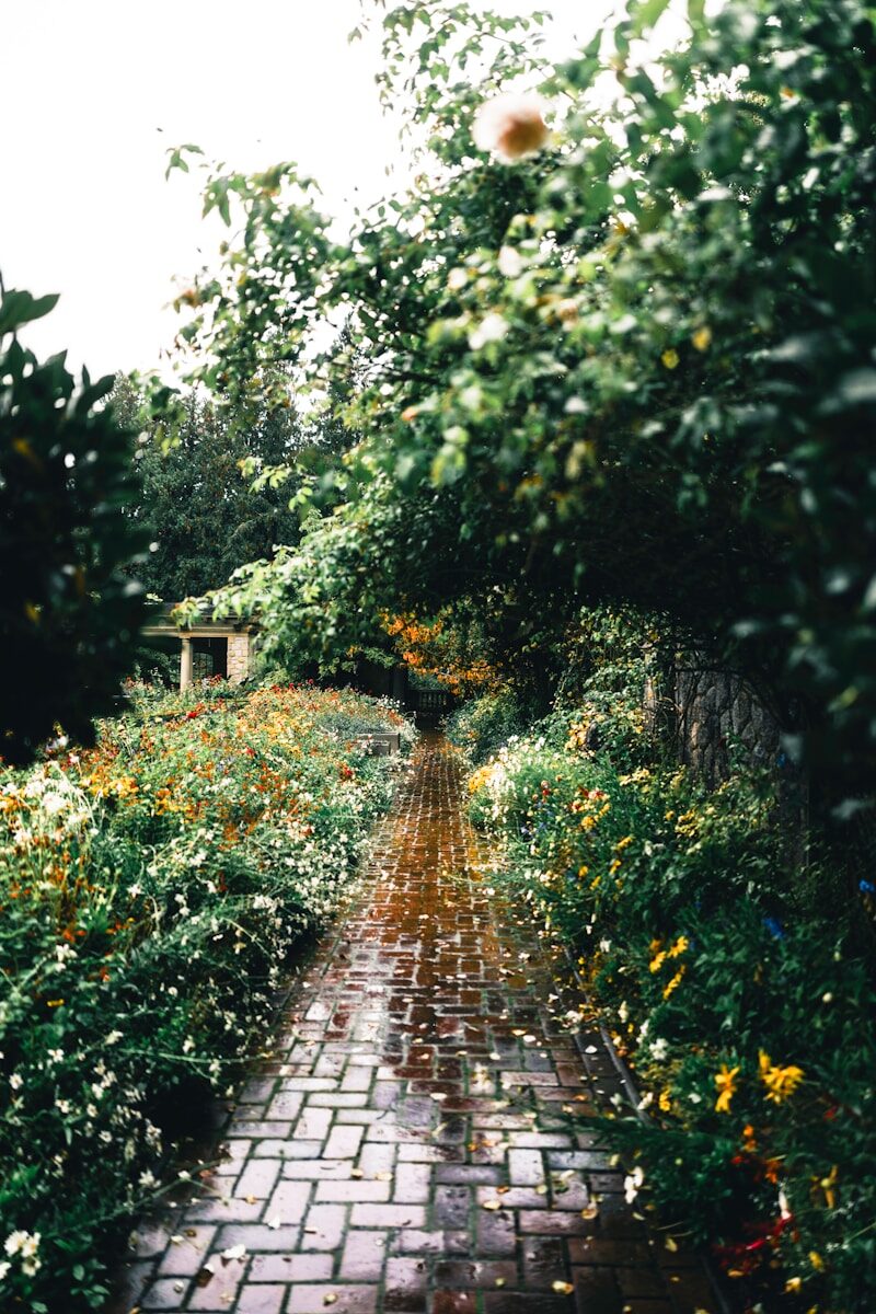 How to Build a Rain Garden in an Alabama Yard