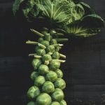 Growing Brussel Sprouts in Alabama