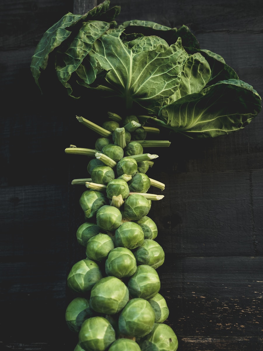 Growing Brussel Sprouts in Alabama
