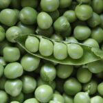 When and How to Peas in Alabama