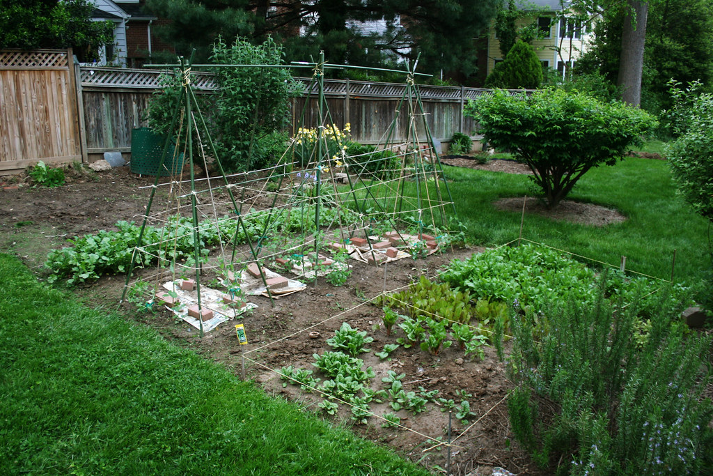 Gardening with Spring Annuals in Alabama