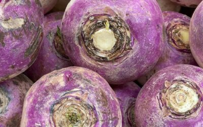 a pile of purple turnips sitting next to each other