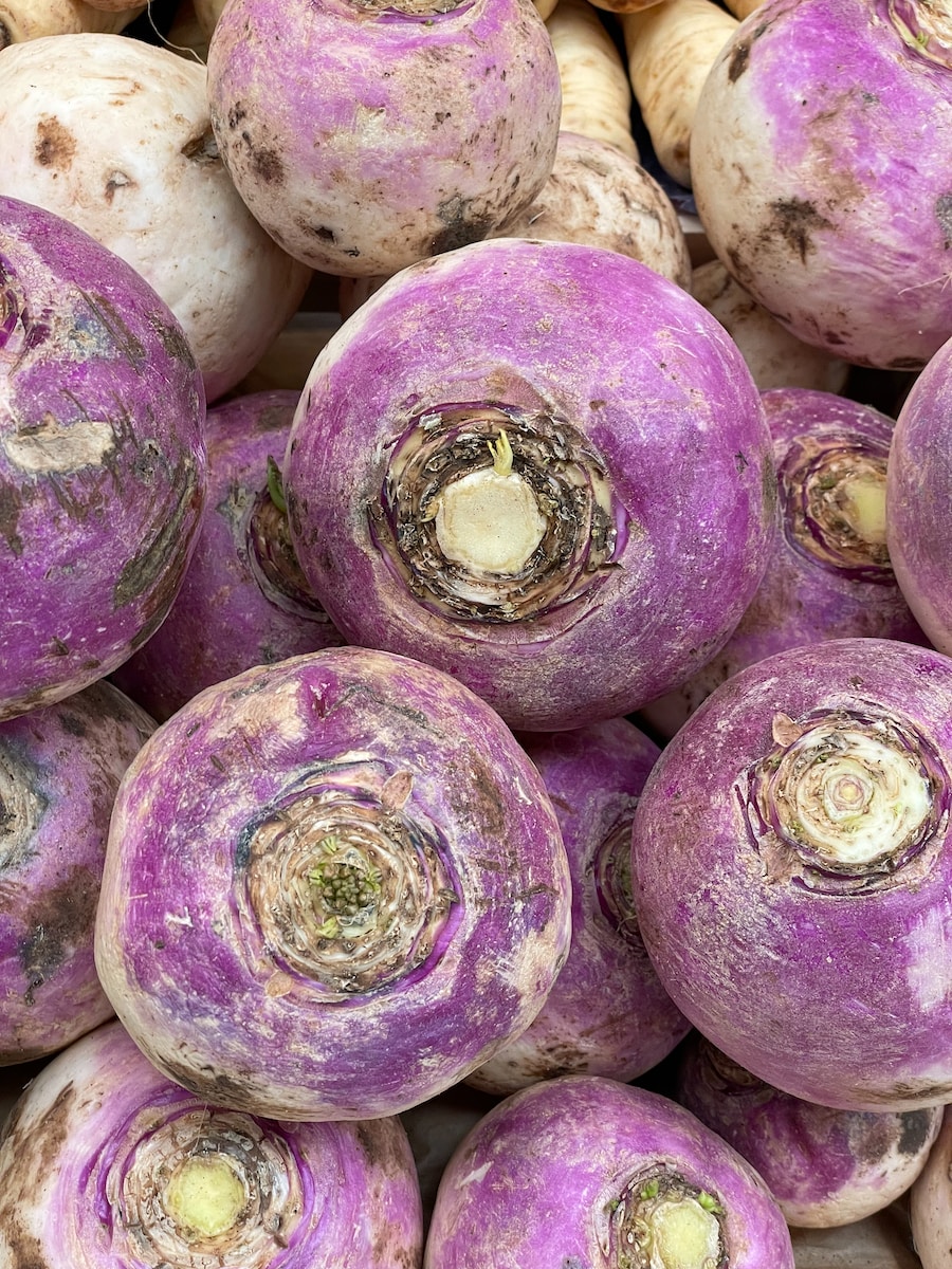 a pile of purple turnips sitting next to each other