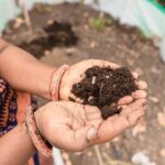 Soil sample collected for an Alabama garden soil test