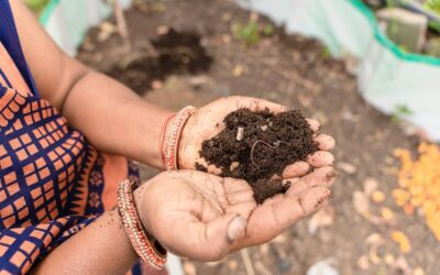 Soil sample collected for an Alabama garden soil test