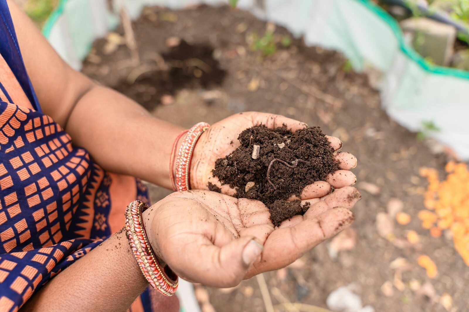 How to Take and Use an Alabama Garden Soil Test
